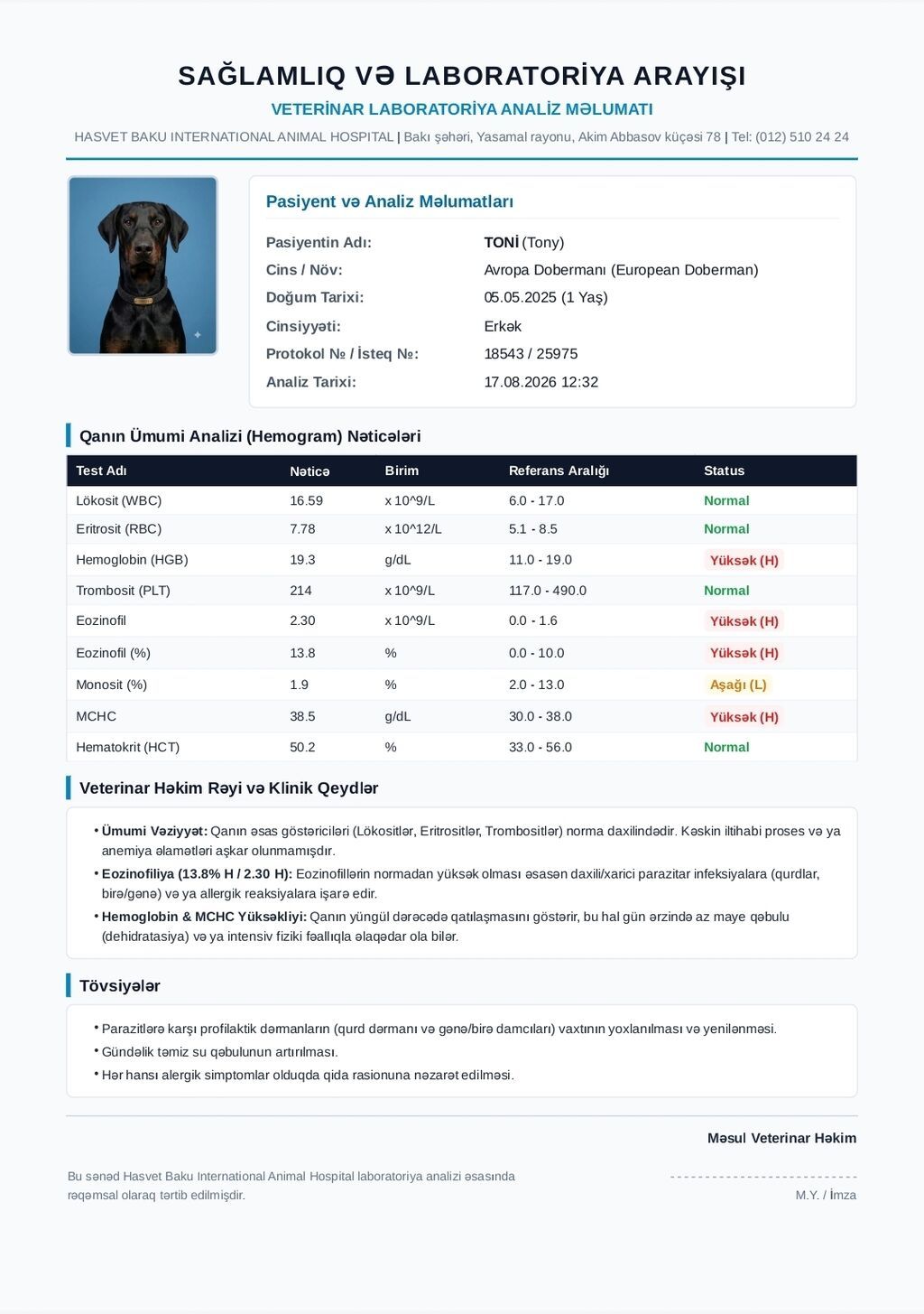 Doberman, 1 il, Erkək, Cütləşmə üçün — Heyvanlar, Qobu