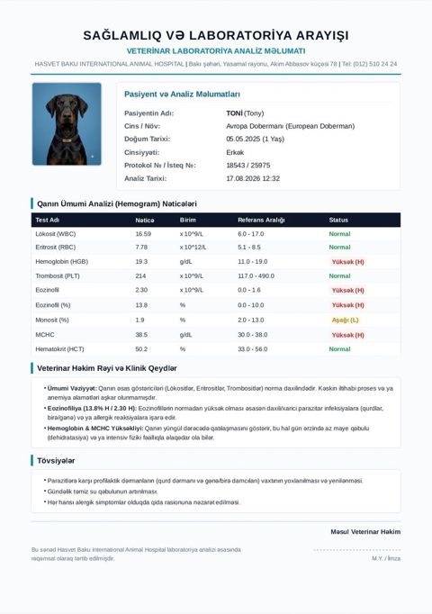 Doberman, 1 il, Erkək, Cütləşmə üçün — Qobu