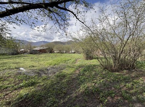 Tikinti, Mülkiyyətçi, Kupça (Çıxarış) — Zaqatala
