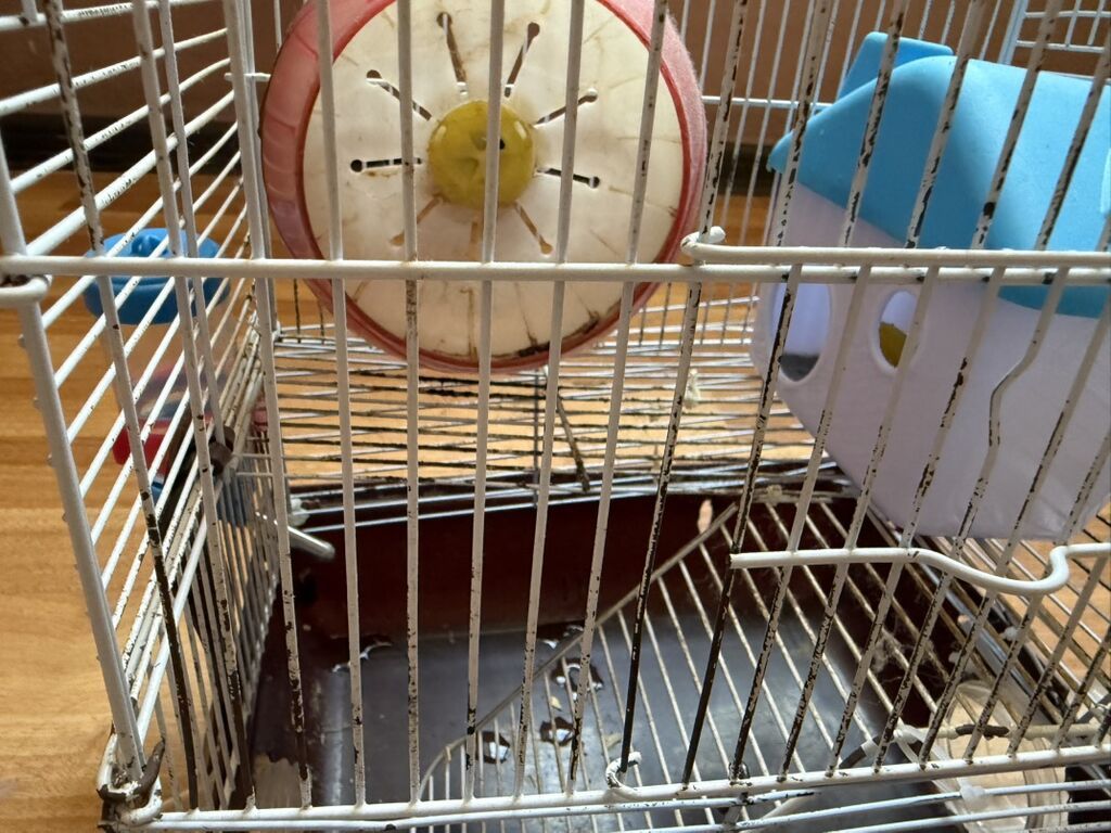 Hamster üçün tam dəst 2 mərtəbə qəfəs - Metall karkaslı, çıxarılan — Qəfəslər, Bakı (4)