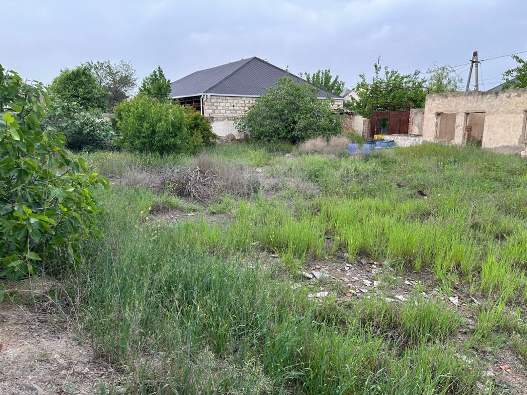 8.5 sot torpaq sahəsi, Gəncə ş — Torpaq, Gəncə (2)