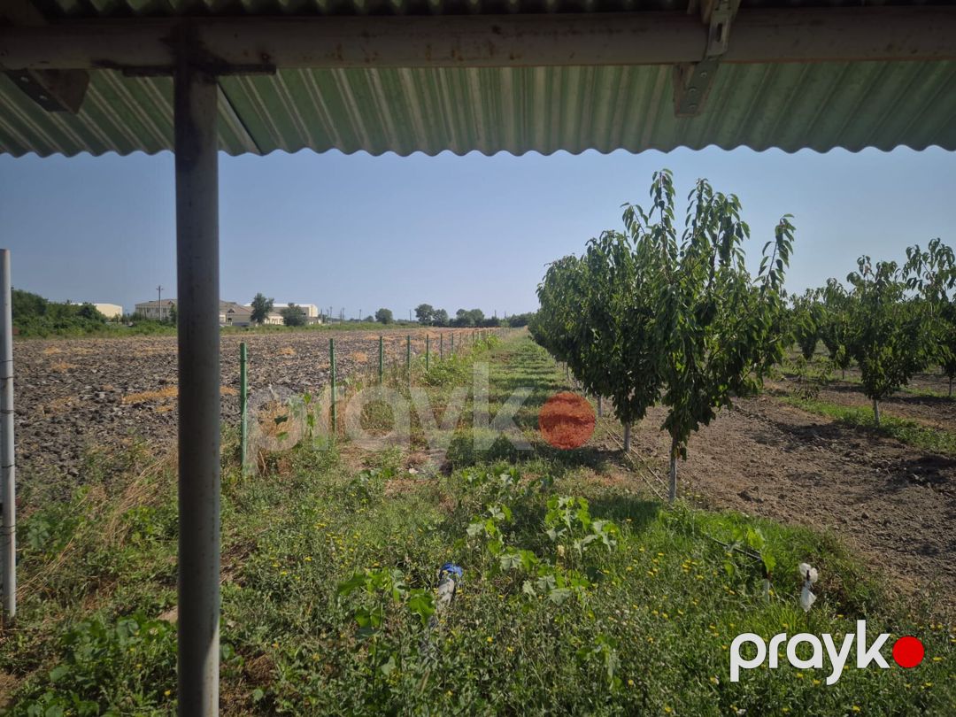 3.2 sot torpaq sahəsi, Xaçmaz - Nabran yolu — Torpaq, Xaçmaz (9)