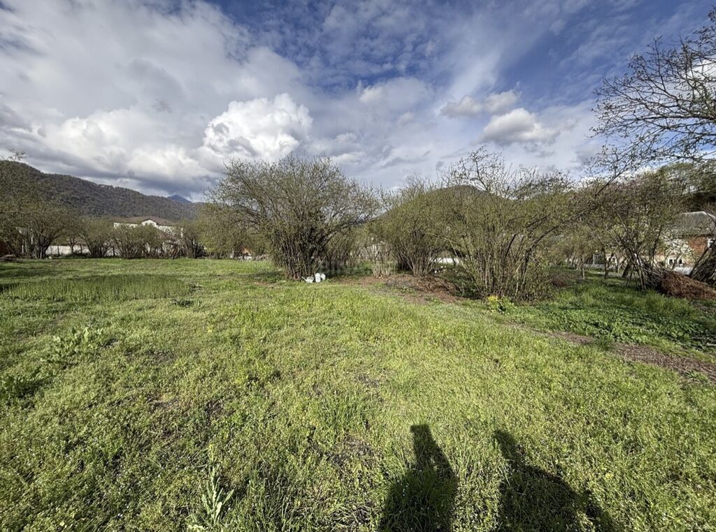 Tikinti, Mülkiyyətçi, Kupça (Çıxarış) — Torpaq, Zaqatala (4)