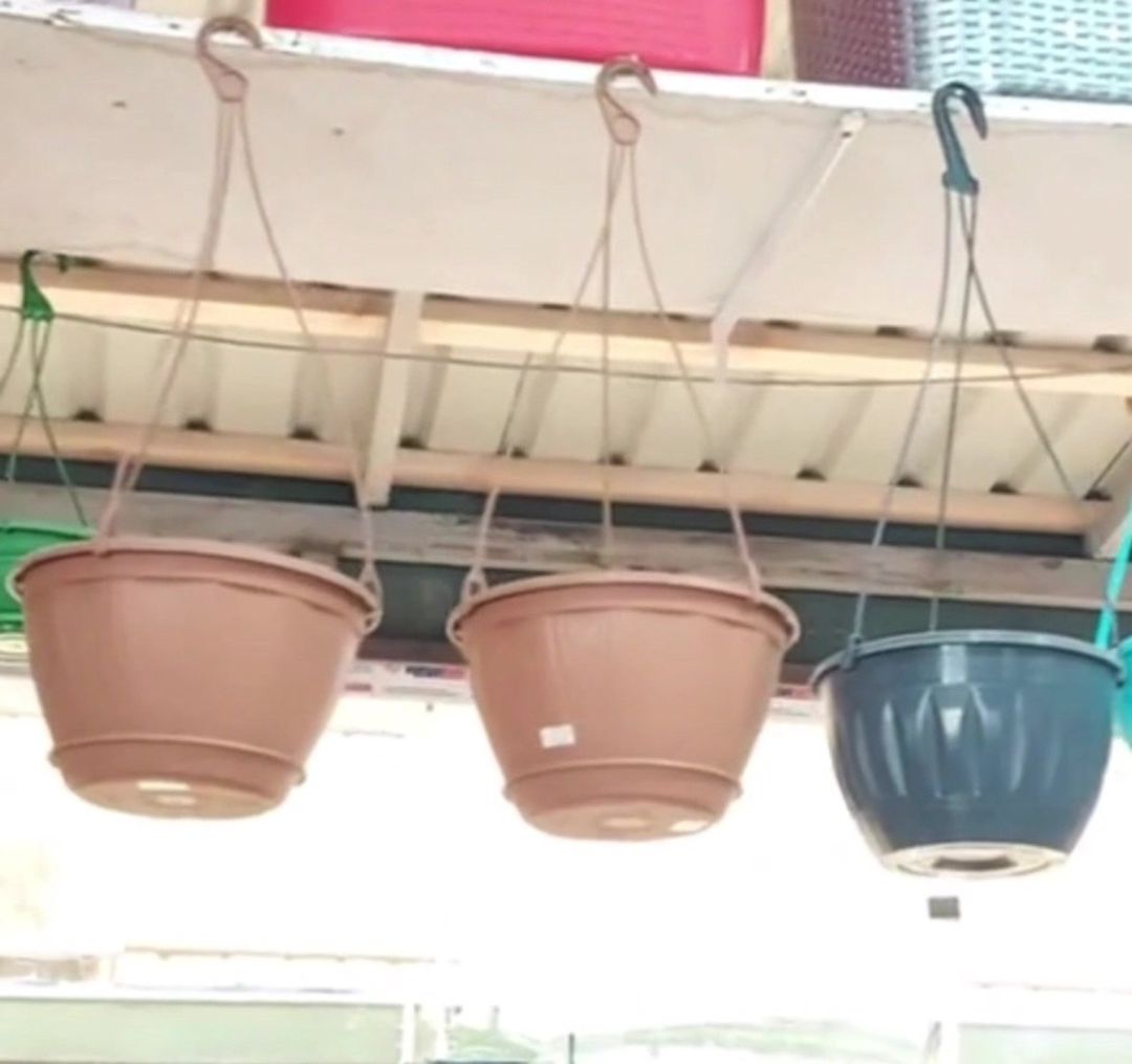 Plastik asılqanlı dibçəklər — Bitkilər, Bakı (4)
