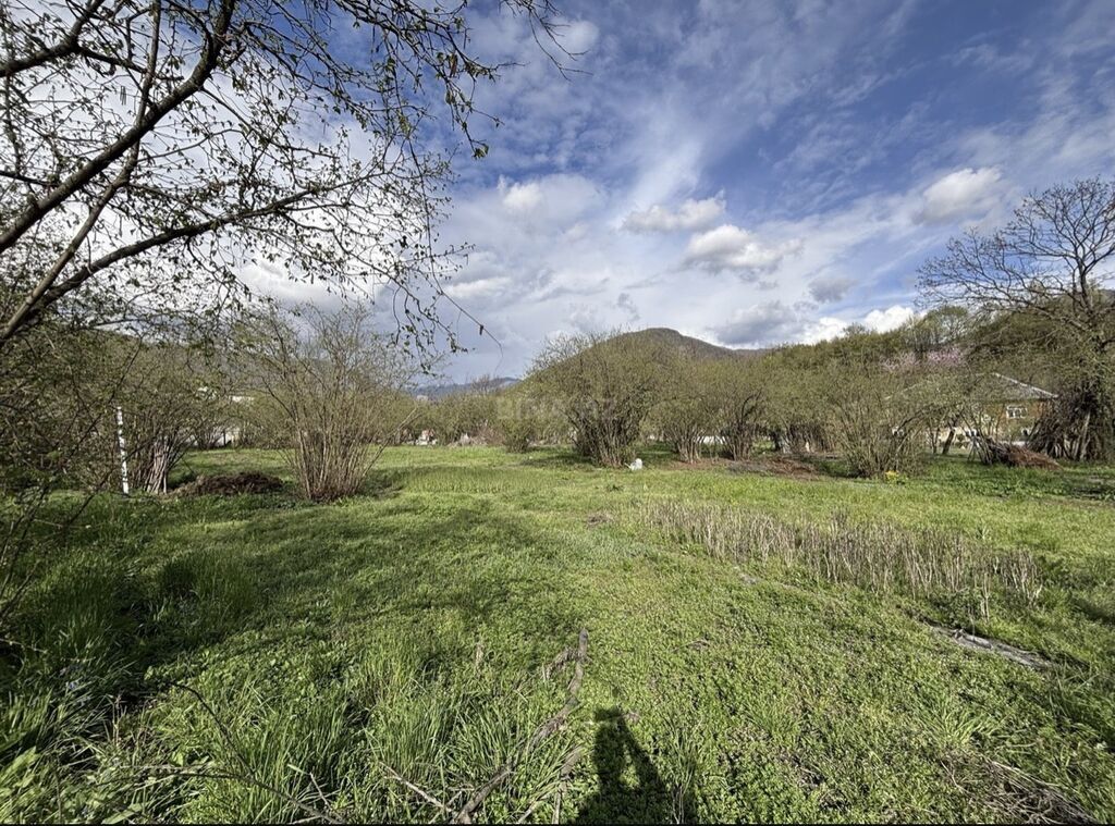 Tikinti, Mülkiyyətçi, Kupça (Çıxarış) — Torpaq, Zaqatala (2)