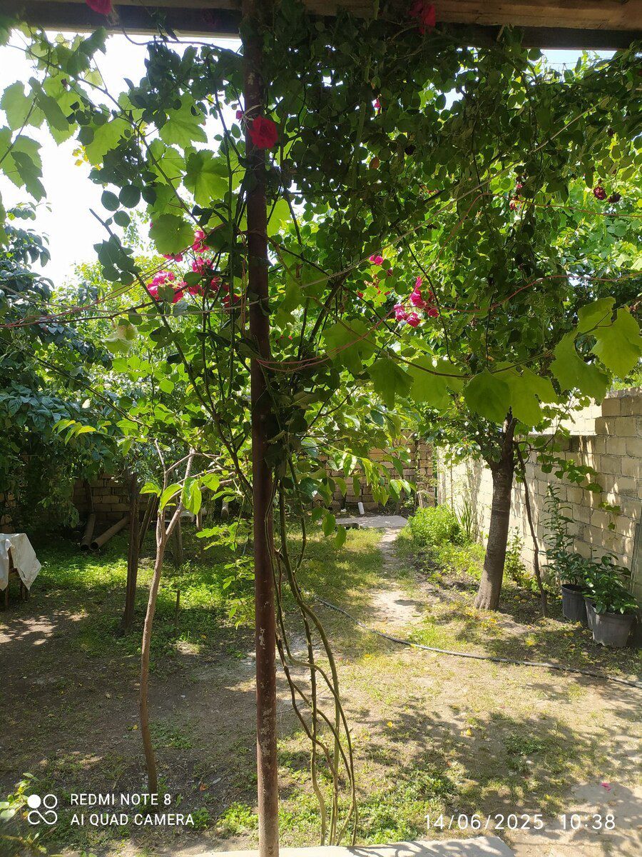 Həyət evi kirayə verilir, Qəbələ ş — Ev, villa, Qəbələ (3)
