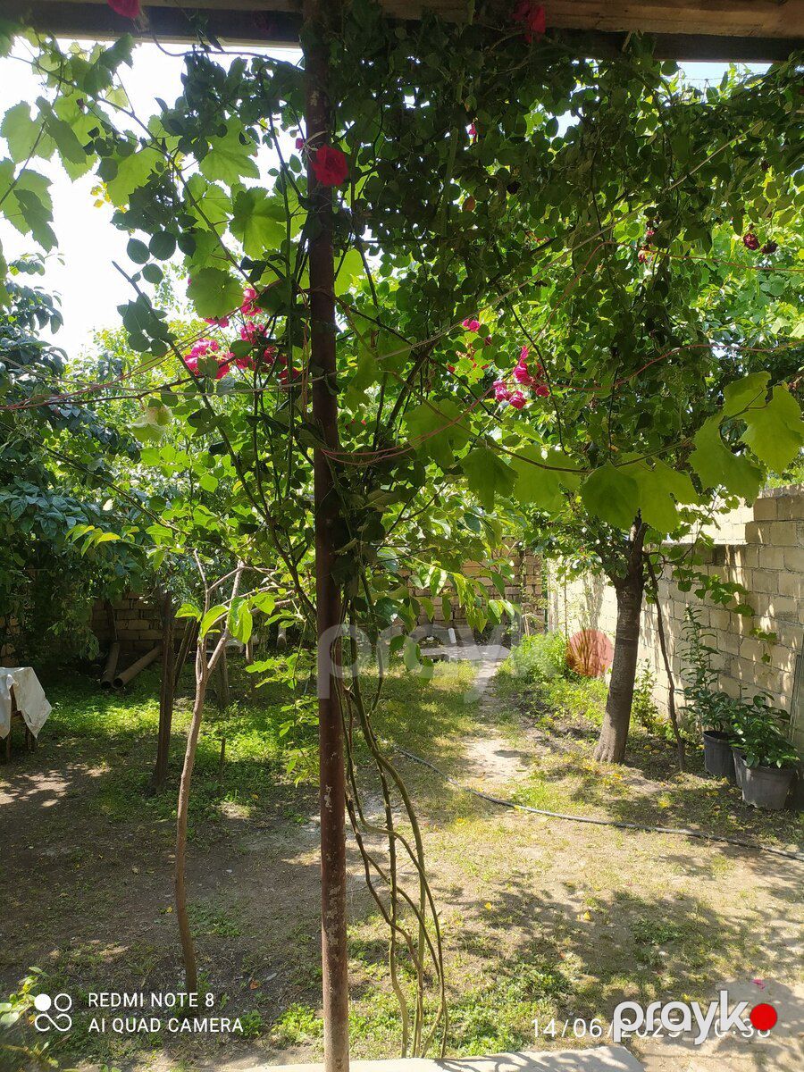 Həyət evi kirayə verilir, Qəbələ ş — Ev, villa, Qəbələ (3)