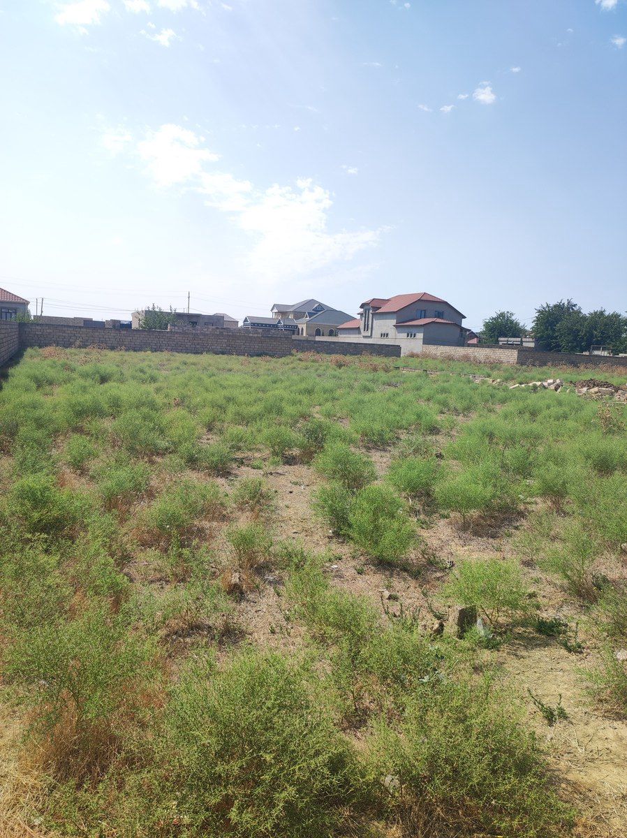 5 sot torpaq sahəsi, Novxanı yolu — Torpaq, Bakı (6)