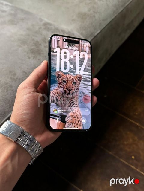 IPhone 14, Qara