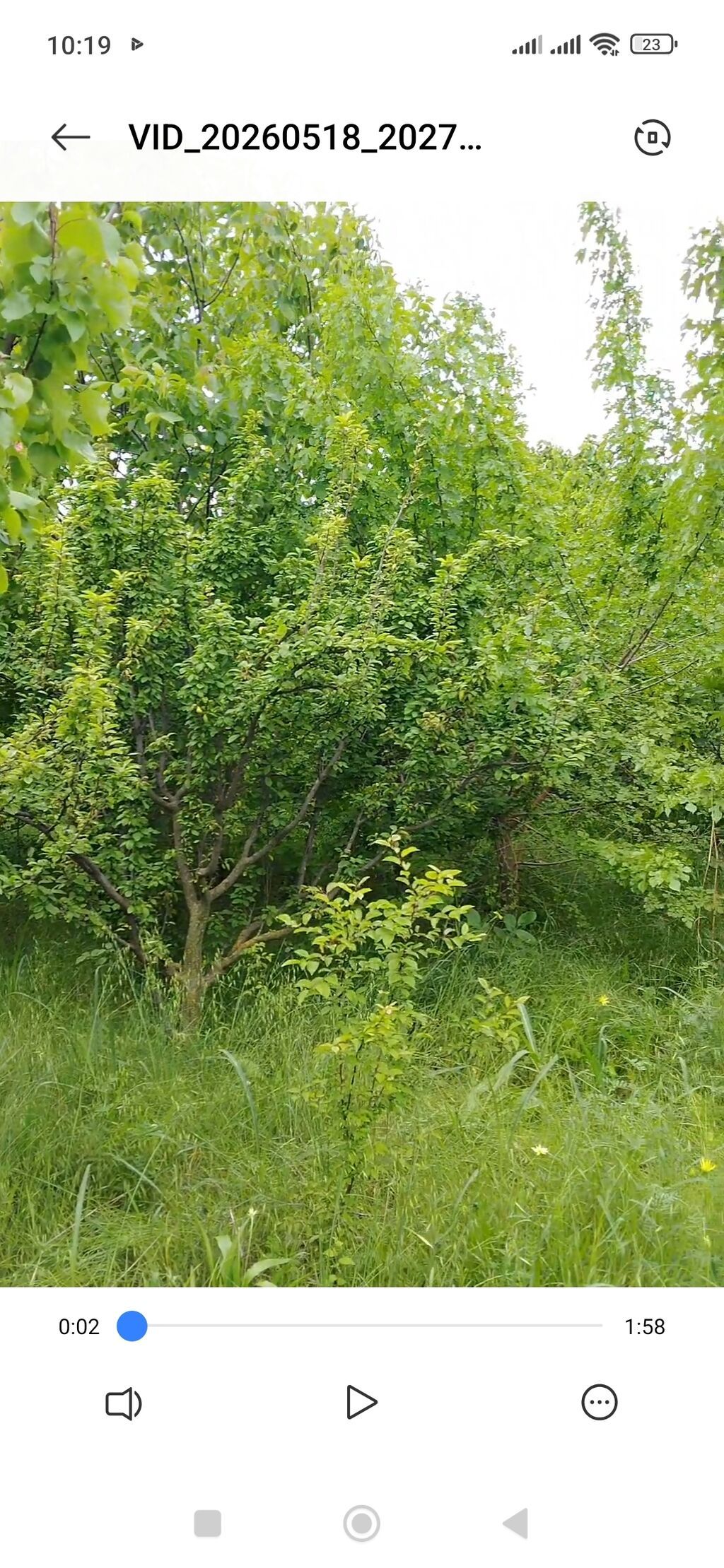 Satılır. Genceden 12 km uzaqliqda. Nizami kəndində. sahəsi 65 — Daşınmaz əmlak, Goranboy (5)