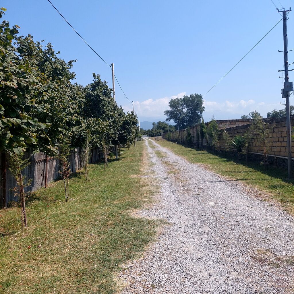 Oğuz rayonunun Şirvanlı kəndində rayon mərkəzindən 10 km,Xalxal — Torpaq, Bakı (4)