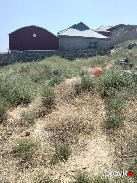 Tikinti