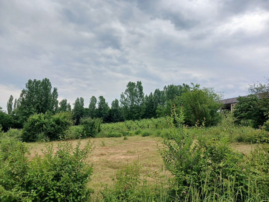 10 sot torpaq sahəsi, Qusar r — Torpaq, Qusar (2)