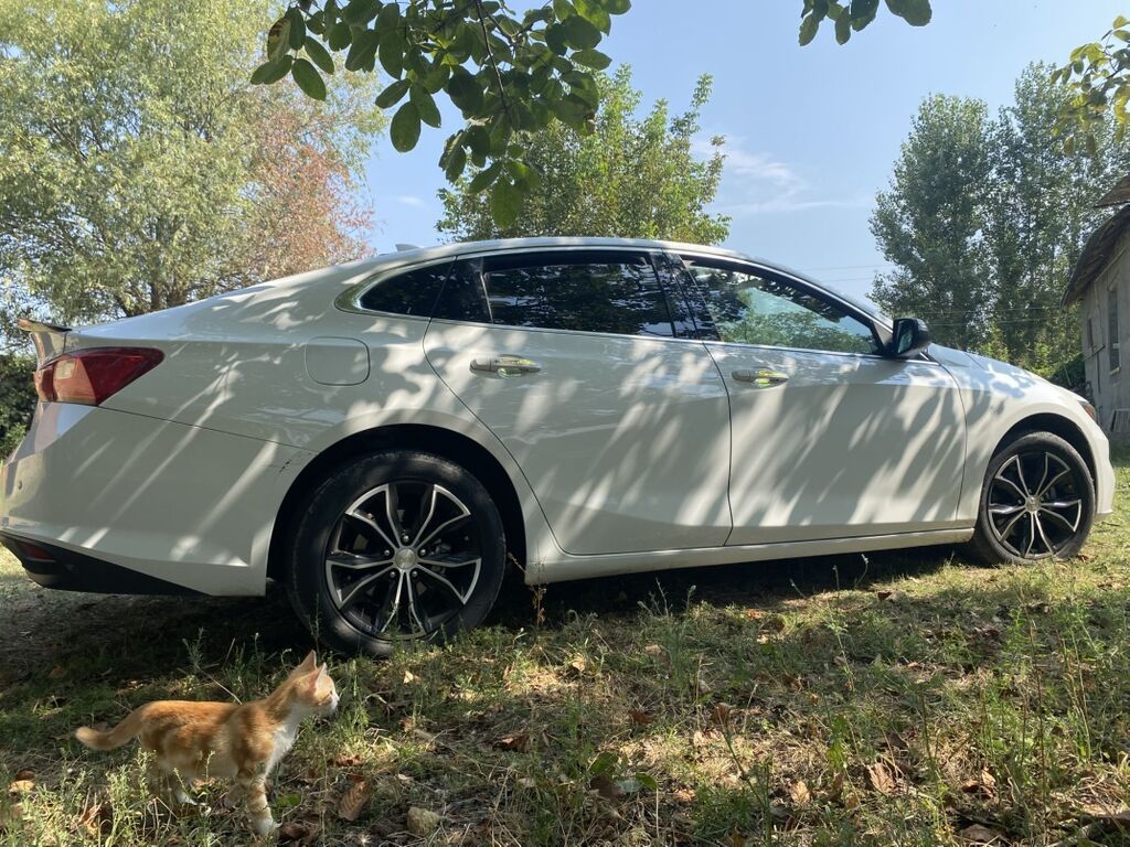 Chevrolet Malibu sedan – ağ rəng, zərif və dinamik dizayn — Avto, Bakı (5)