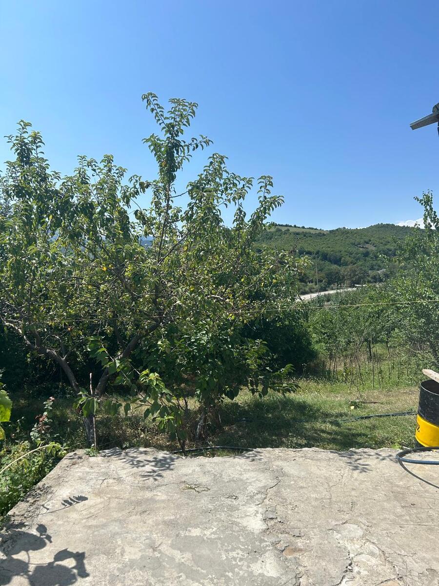 Bağ evi, Quba r — Ev, villa, Quba (3)