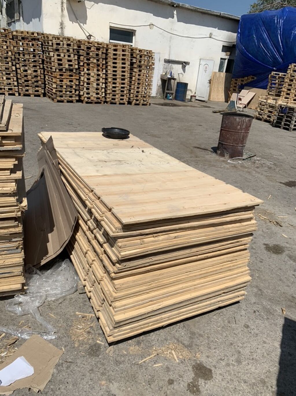 Taxta panellər və lövhələr Ölcü 240-112 Qalinligi 18mm Corniy Pol və — Mallar, Bakı (2)