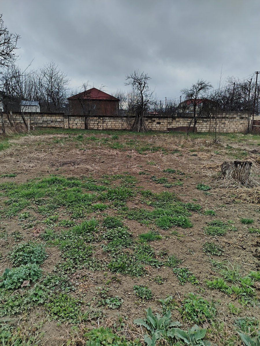 6.3 sot torpaq sahəsi, Alpan kəndi — Torpaq, Bakı (4)