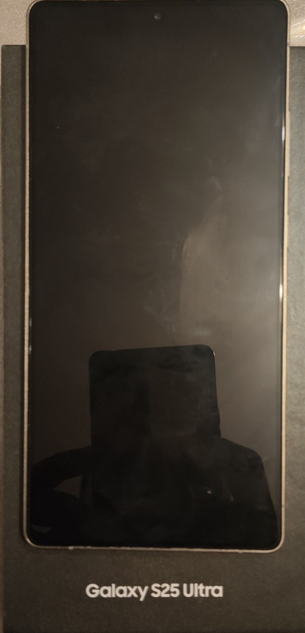 Samsung Galaxy S25 Ultra, rəng - Boz — Samsung, Neftçala (4)