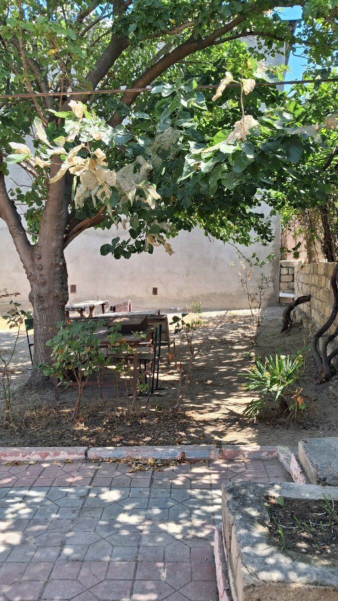 Bağ evi, Xəzər bağları — Ev, villa, Sumqayıt (3)