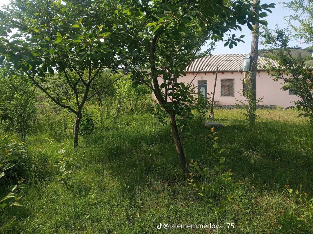 Bağ evi, Quba r — Ev, villa, Quba (5)