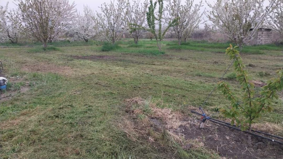 220 sot torpaq sahəsi, Ağyazı kəndi — Torpaq, Xaçmaz (7)
