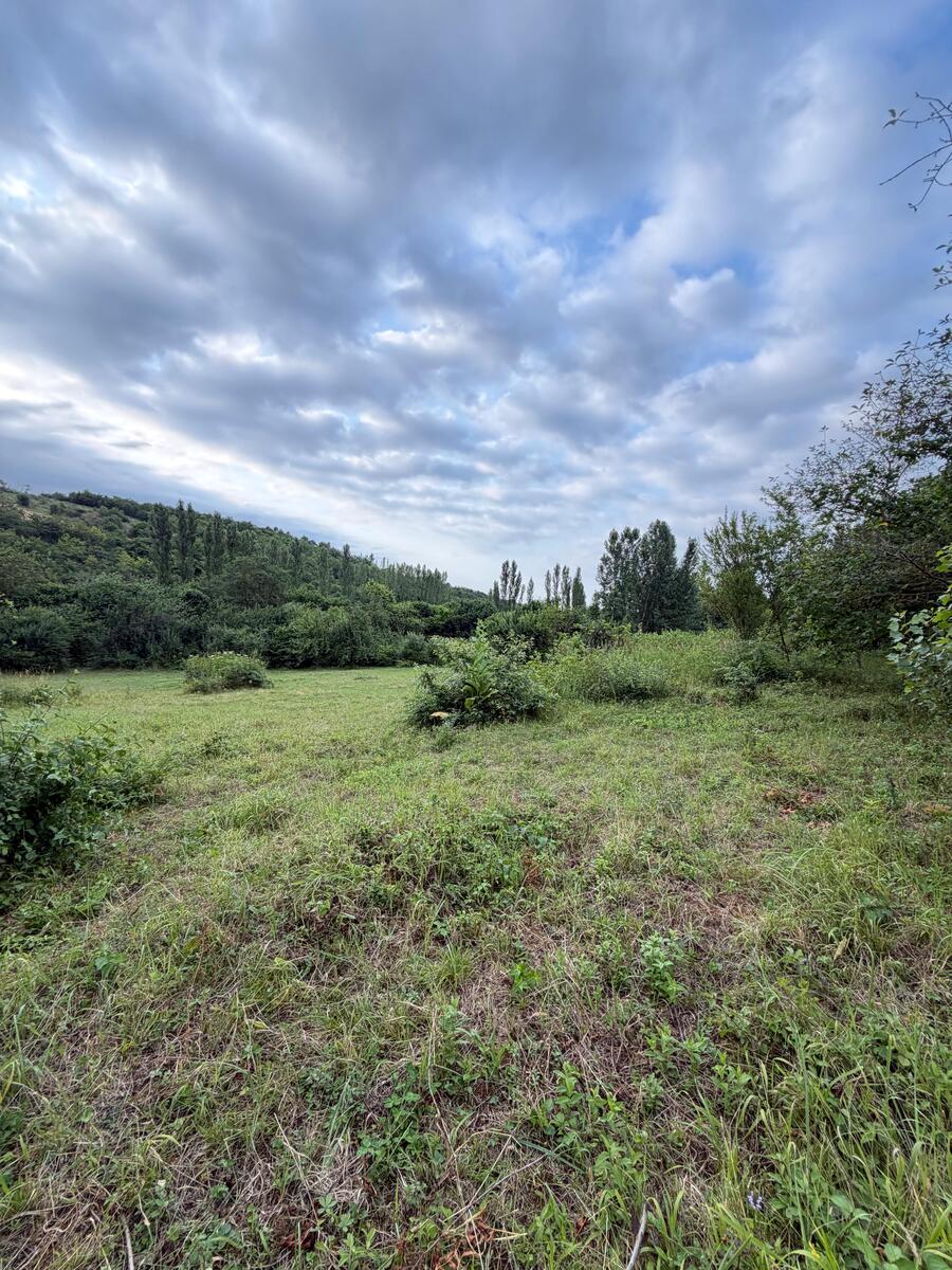 10 sot torpaq sahəsi, Qusar r — Torpaq, Qusar (5)