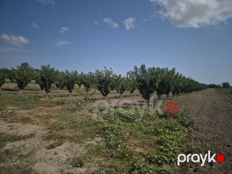 3.2 sot torpaq sahəsi, Xaçmaz - Nabran yolu
