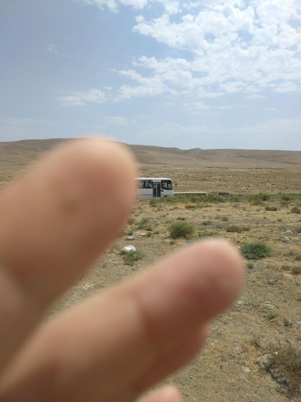 Tikinti — Torpaq, Mehdiabad