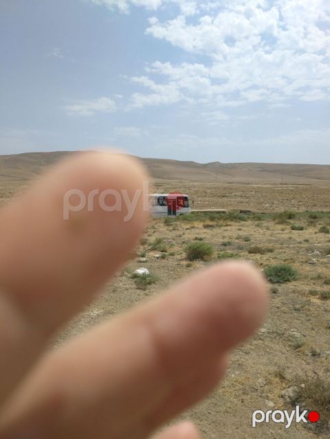 Tikinti