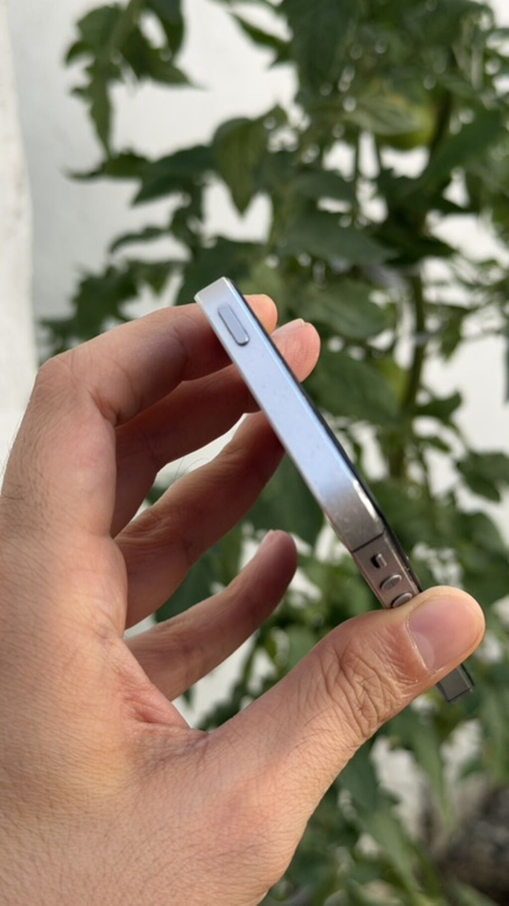 IPhone 5s, Gümüşü — Apple iPhone, Bakı (3)