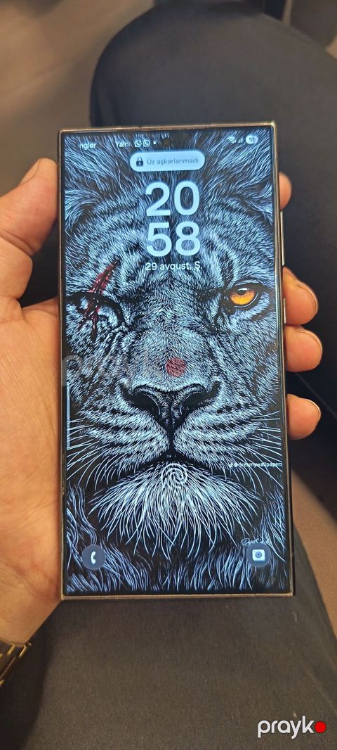 Samsung Galaxy S23 Ultra, rəng - Boz