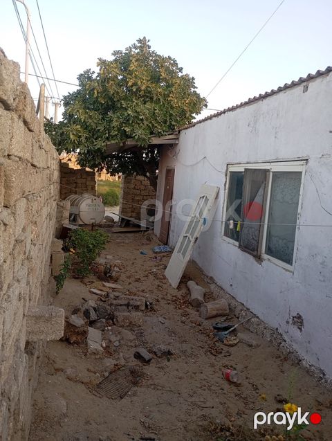 1 sot torpaq sahəsi, Xəzər ray. Xaşaxuna bağları