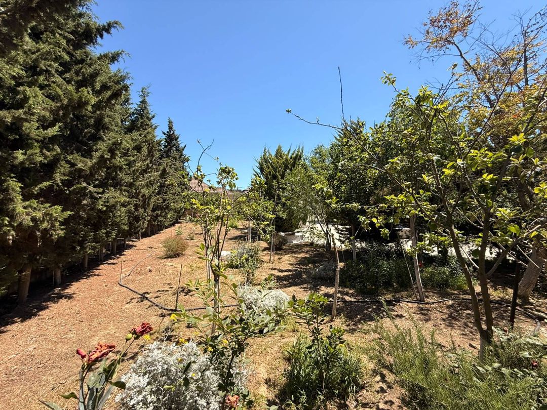 25 sot torpaq sahəsi, Mərdəkan qəs — Torpaq, Bakı (11)