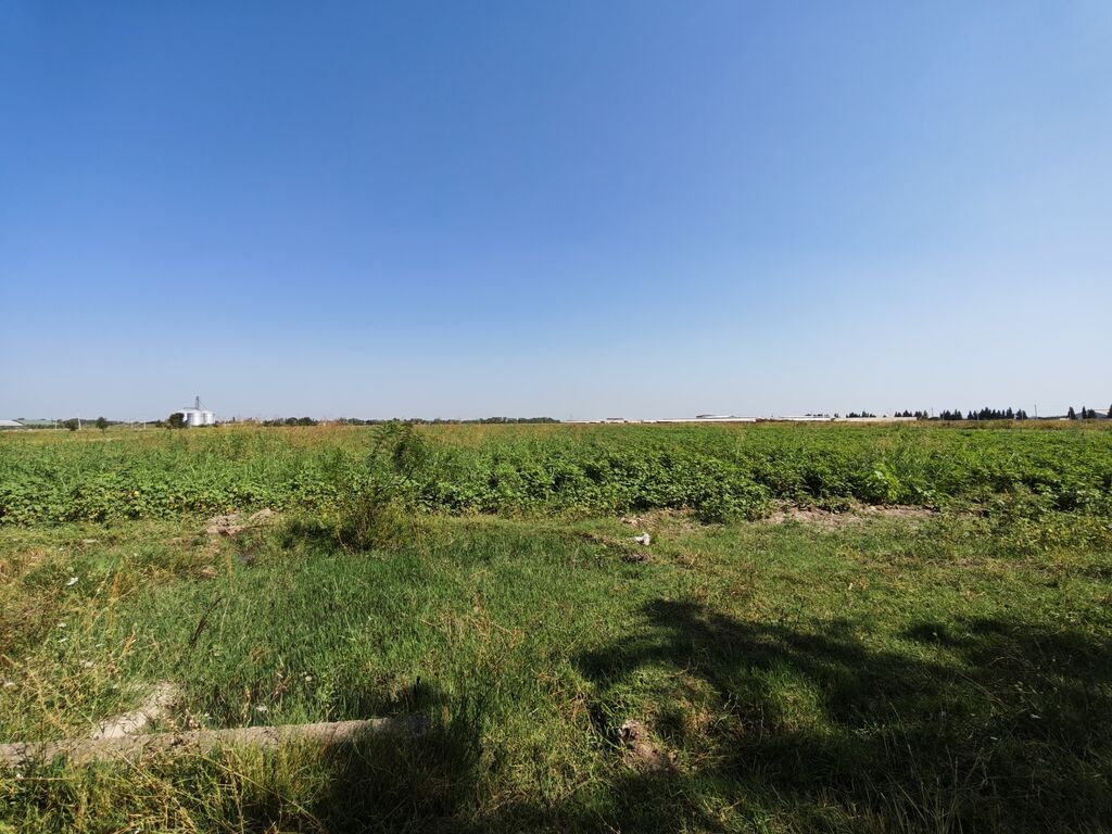 300 sot, Kənd təsərrüfatı, Mülkiyyətçi, Kupça (Çıxarış) — Torpaq, Ağcabədi (5)