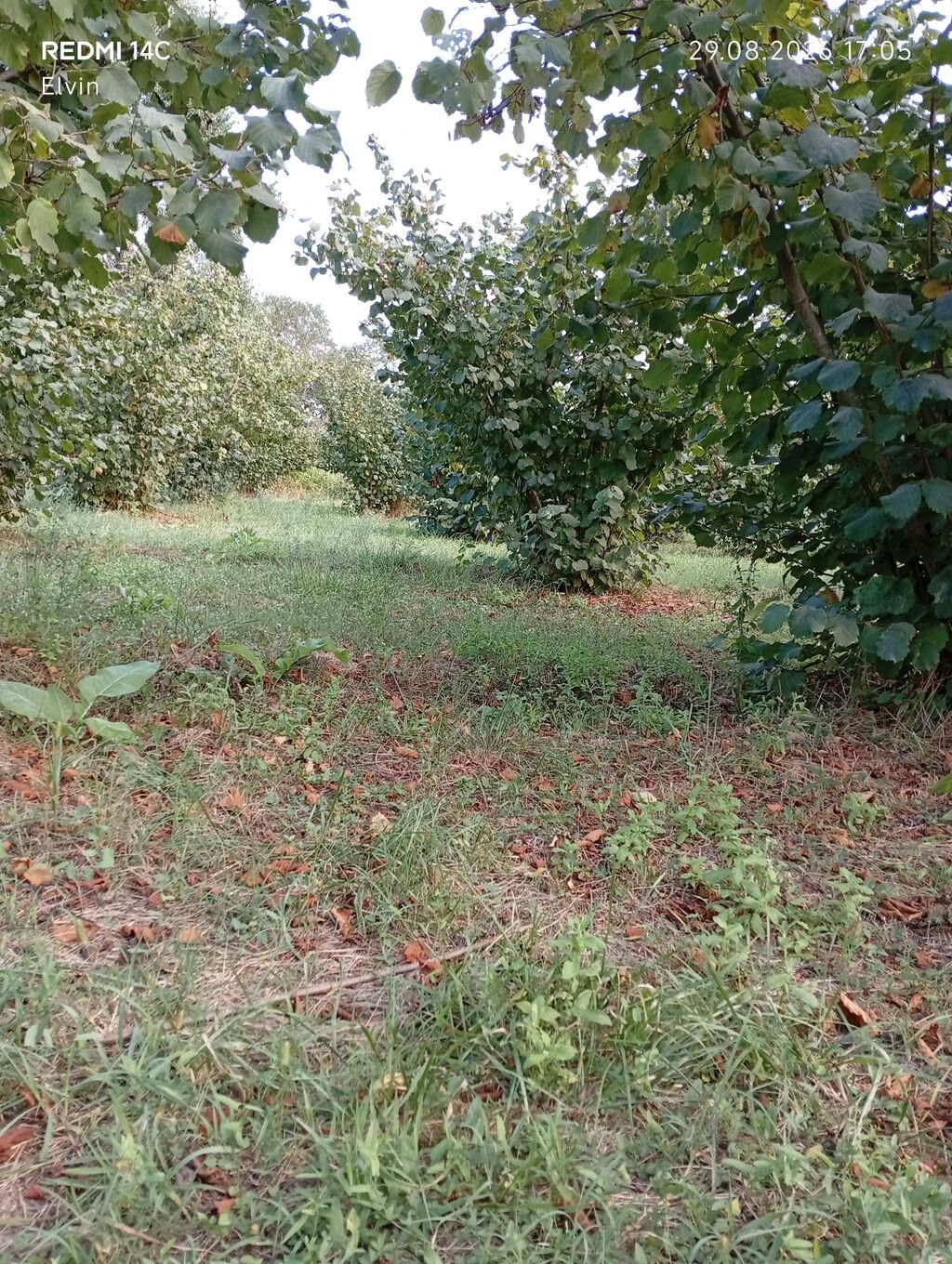 1 sot, Kənd təsərrüfatı — Torpaq, Xaçmaz (8)