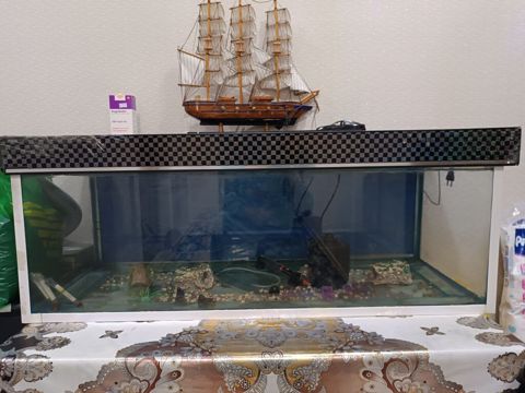Akvarium satilir 200 litr tutur, ustunde suni gulu ve daslari — Sumqayıt