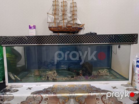 Akvarium satilir 200 litr tutur, ustunde suni gulu ve daslari — Sumqayıt