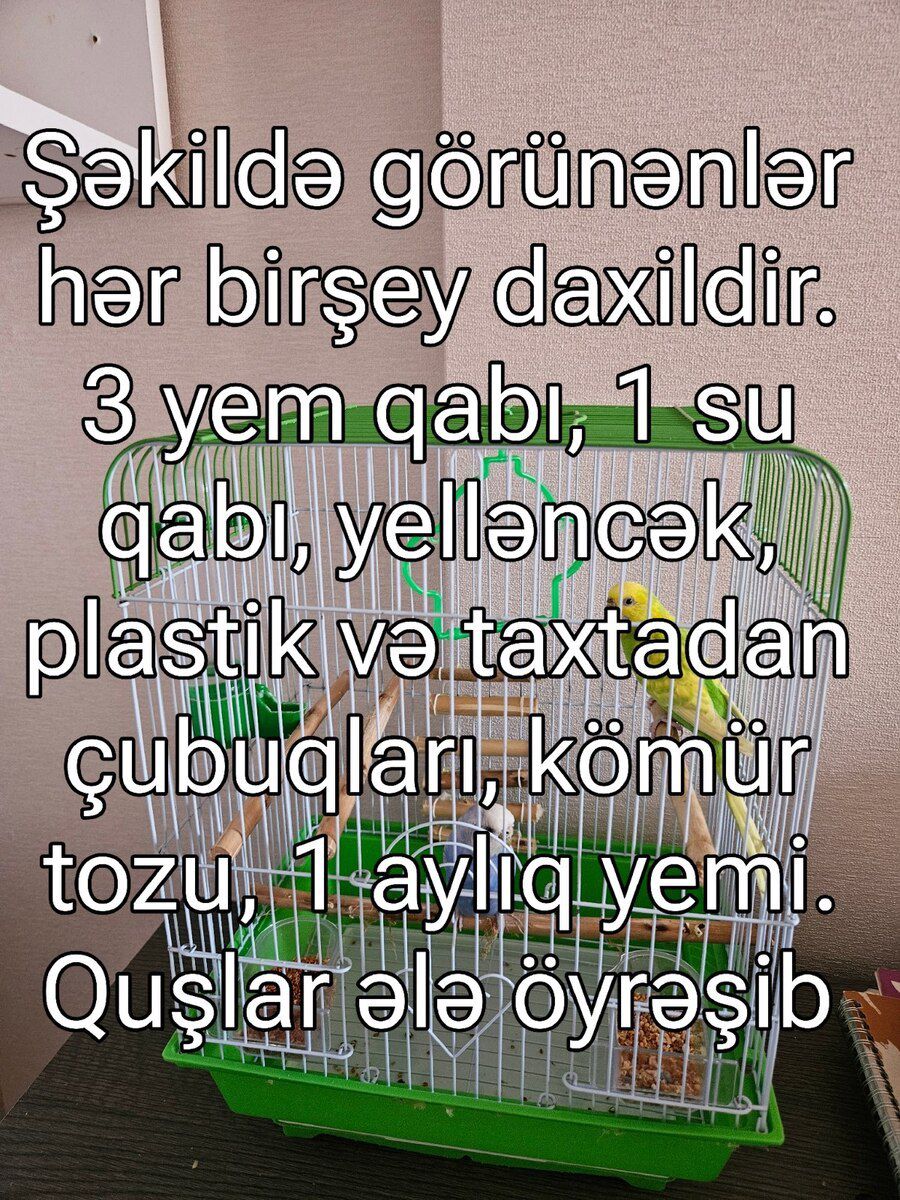 Tutuquşular — Quşlar, Bakı (6)
