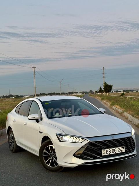 BYD Qin Plus, 1.5 L, 18.32 kWh, 2024 il, 80 000 km