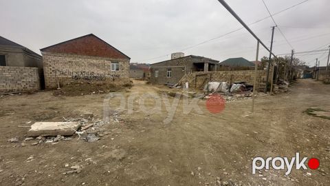 Kupça (Çıxarış)