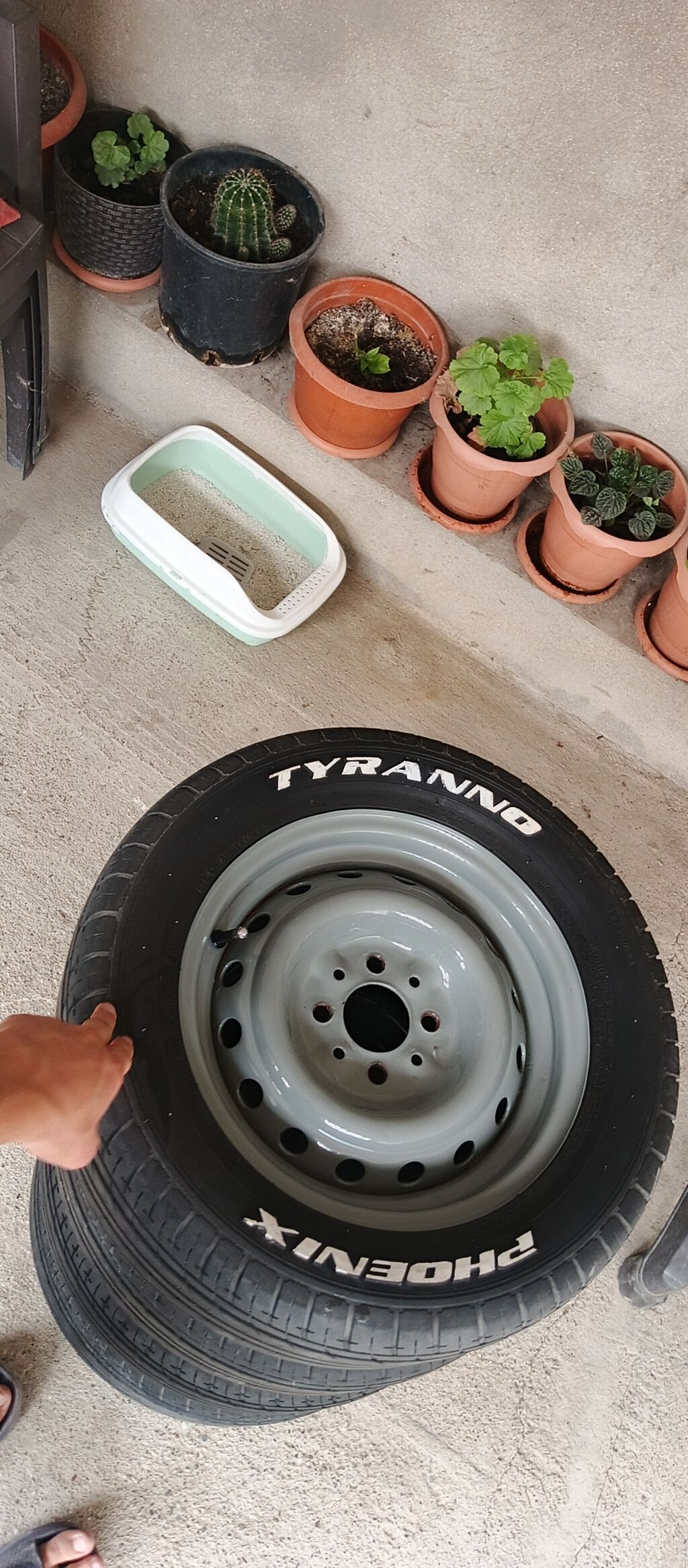 Təkər və disk dəsti - Brend: Tyranno / Phoenıx - Komplekt: 4 ədəd — Avto, Xaçmaz