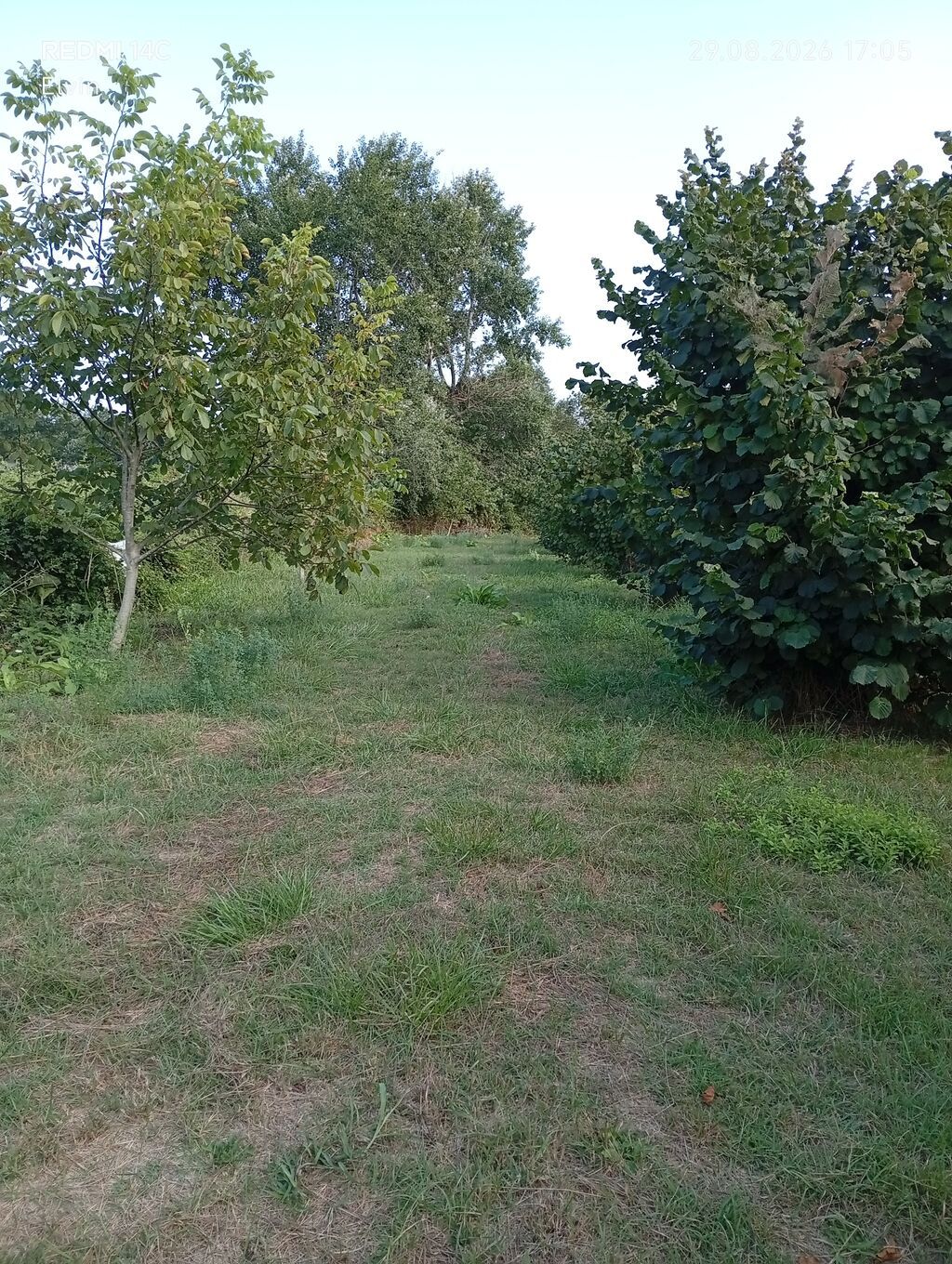 1 sot, Kənd təsərrüfatı — Torpaq, Xaçmaz (7)