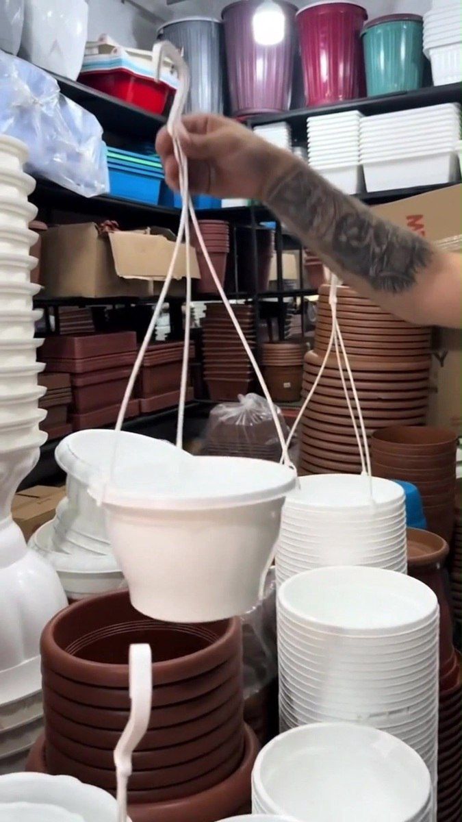Plastik asılqanlı dibçəklər — Bitkilər, Bakı (9)