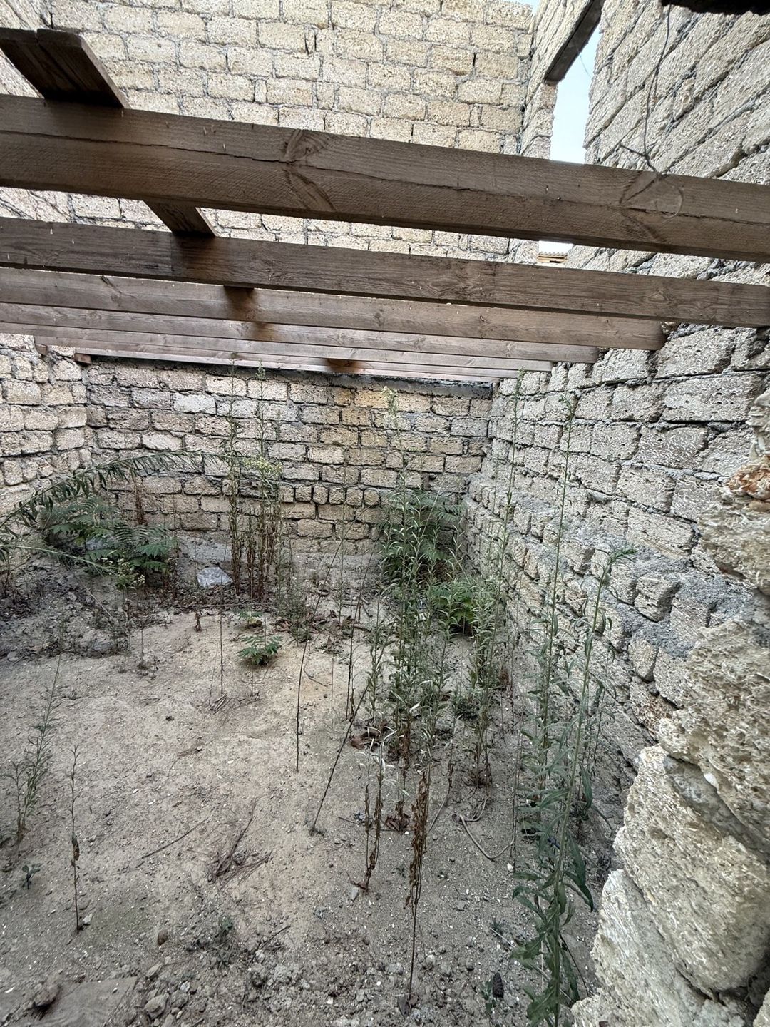 Həyət evi, Sabunçu r — Ev, villa, Bakı (7)
