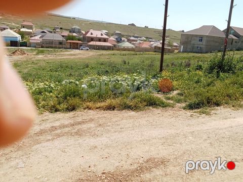 8 sot, Tikinti, Kupça (Çıxarış)