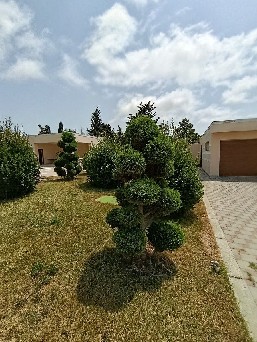 Bağ evi, Mərdəkan qəs — Ev, villa, Bakı (8)