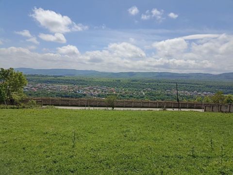 13 sot, Tikinti, Mülkiyyətçi, Kupça (Çıxarış) — Quba