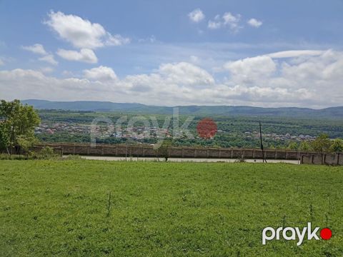 13 sot, Tikinti, Mülkiyyətçi, Kupça (Çıxarış)