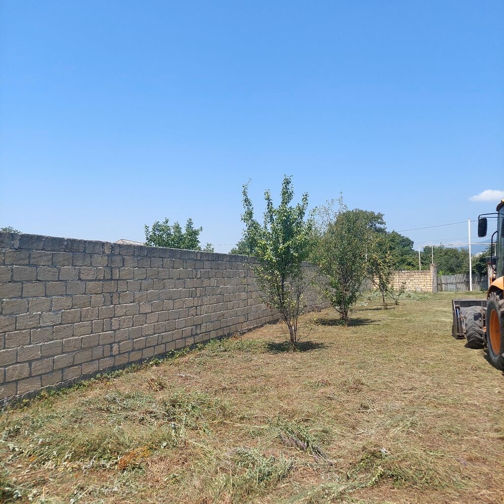 Oğuz rayonunun Şirvanlı kəndində rayon mərkəzindən 10 km,Xalxal — Torpaq, Bakı (6)
