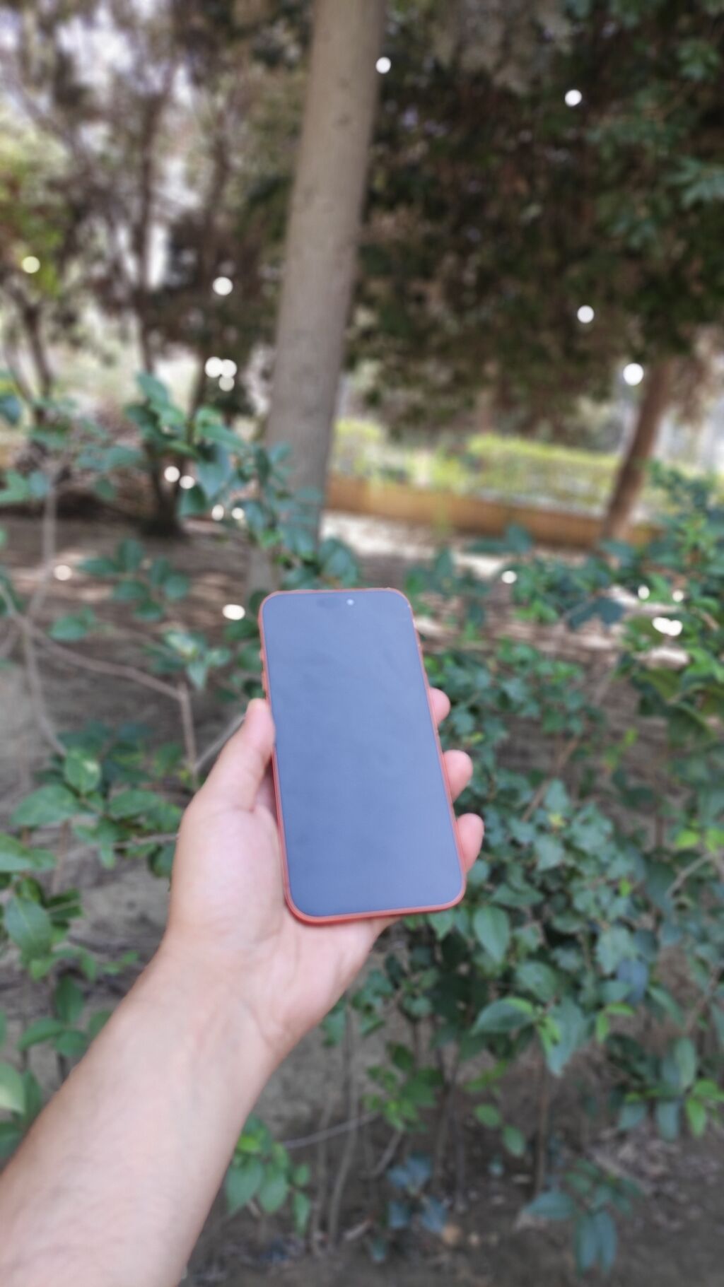 Narıncı — Apple iPhone, Bakı (2)